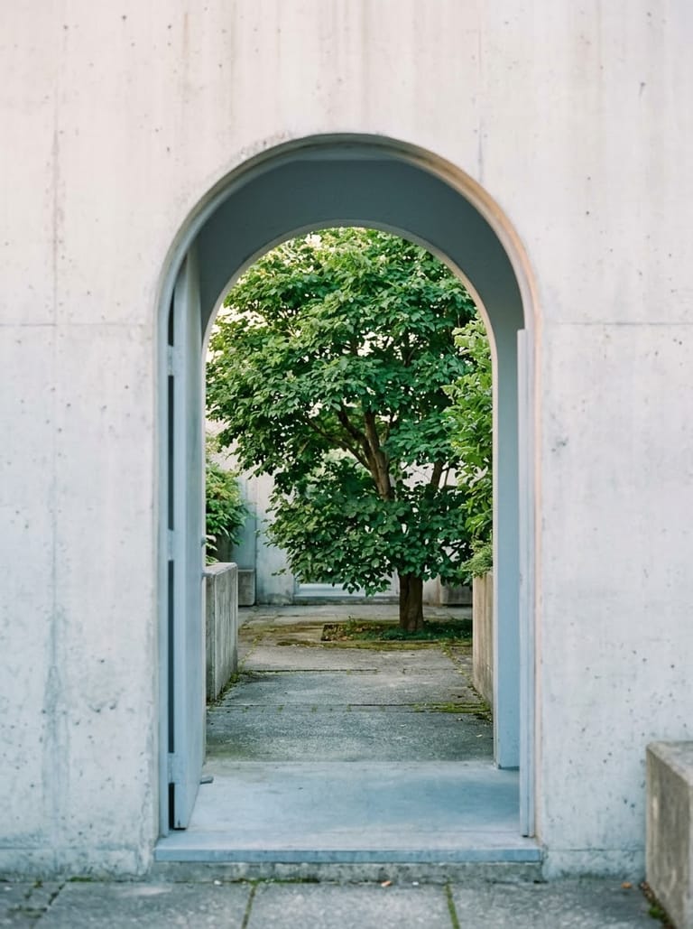 An open arched doorway in a pale concrete wall, with a leafy tree standing in the courtyard beyond